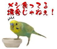 883097980