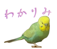 883097982