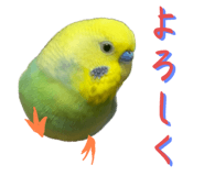 883097983