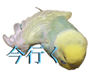 883097987