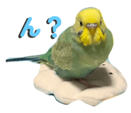 883097991