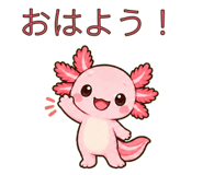 883113817