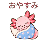 883113818