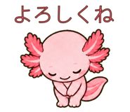 883113820