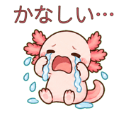 883113827