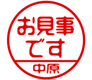 883117300