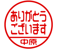 883117305