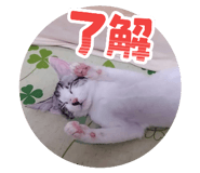 883130000