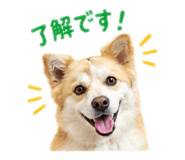 883130346