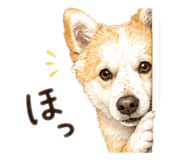 883130350