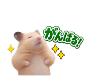 883130833
