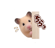 883130837
