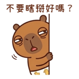 883135221