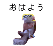 883137282