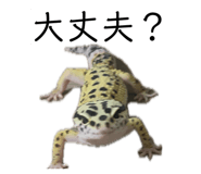 883137283