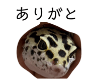 883137284