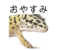 883137285