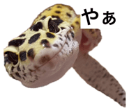 883137286