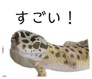 883137287