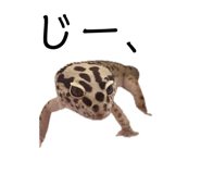 883137288