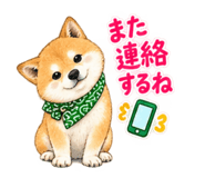 883138748