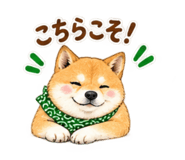 883138753