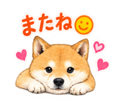 883138757
