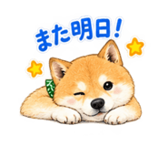 883138760