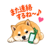 883138762