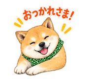 883138764