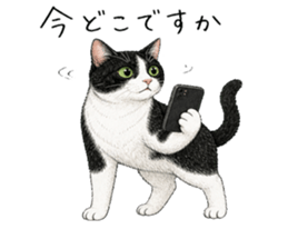 883143036