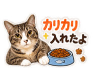 883143064
