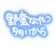 883145120