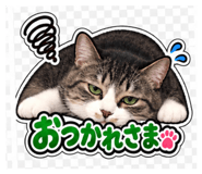 883149406
