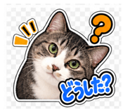 883149408