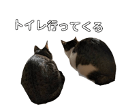 883163234