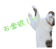 883163246