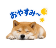 883179276