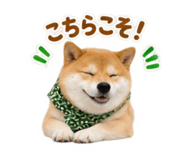 883179280