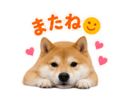 883179281