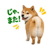 883179282