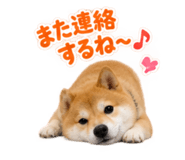 883179289
