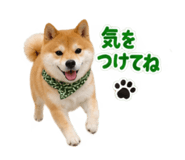 883179290