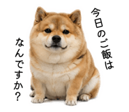 883181609
