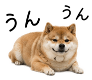 883181610