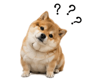 883181612