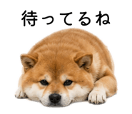883181613