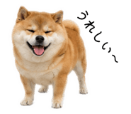 883181616