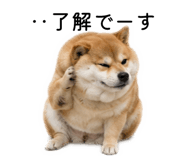 883181625