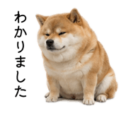 883181626
